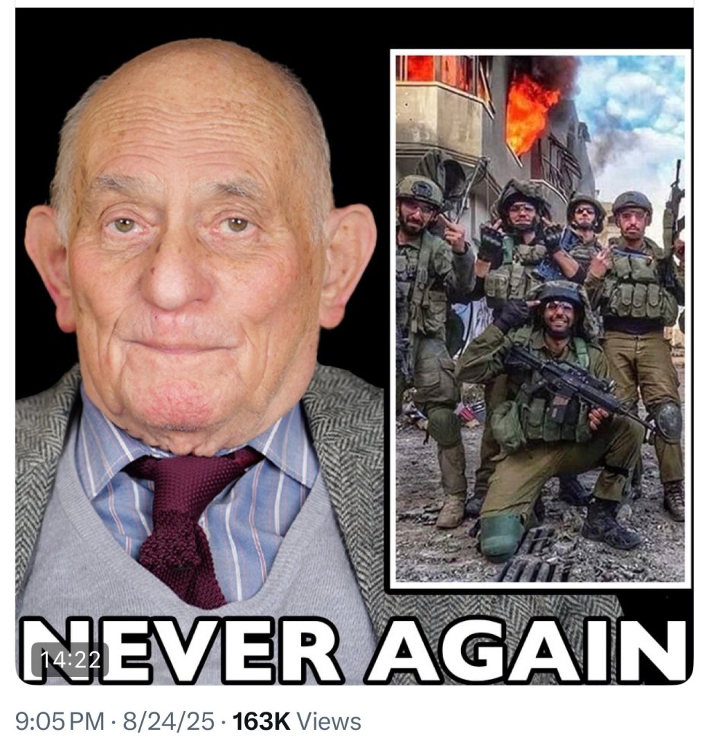 Holocaust Survivor agrees there is a holocaust occurring in&nbsp;Gaza