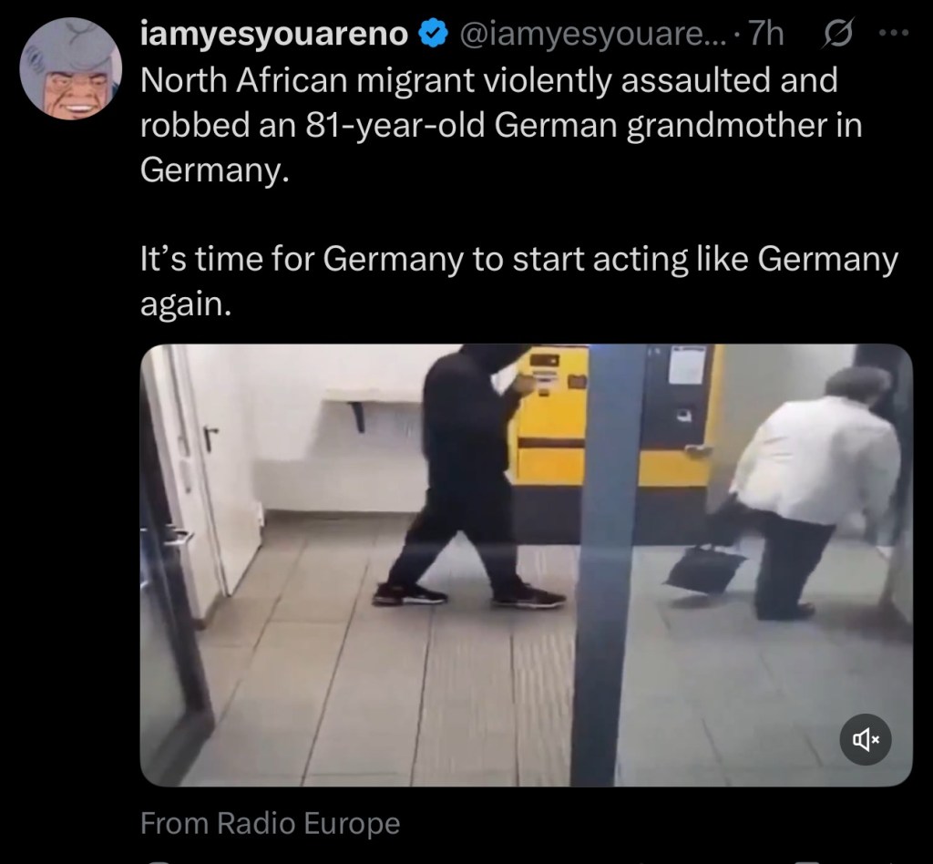 North African migrant violently assaulted and robbed an 81-year-old German grandmother in&nbsp;Germany.