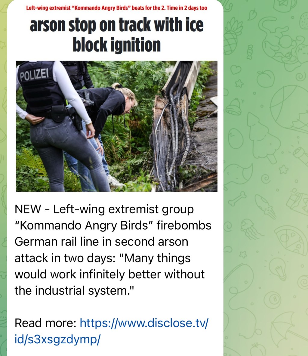 Left-wing extremist group “Kommando Angry Birds” firebombs German rail line in second arson attack in two&nbsp;days