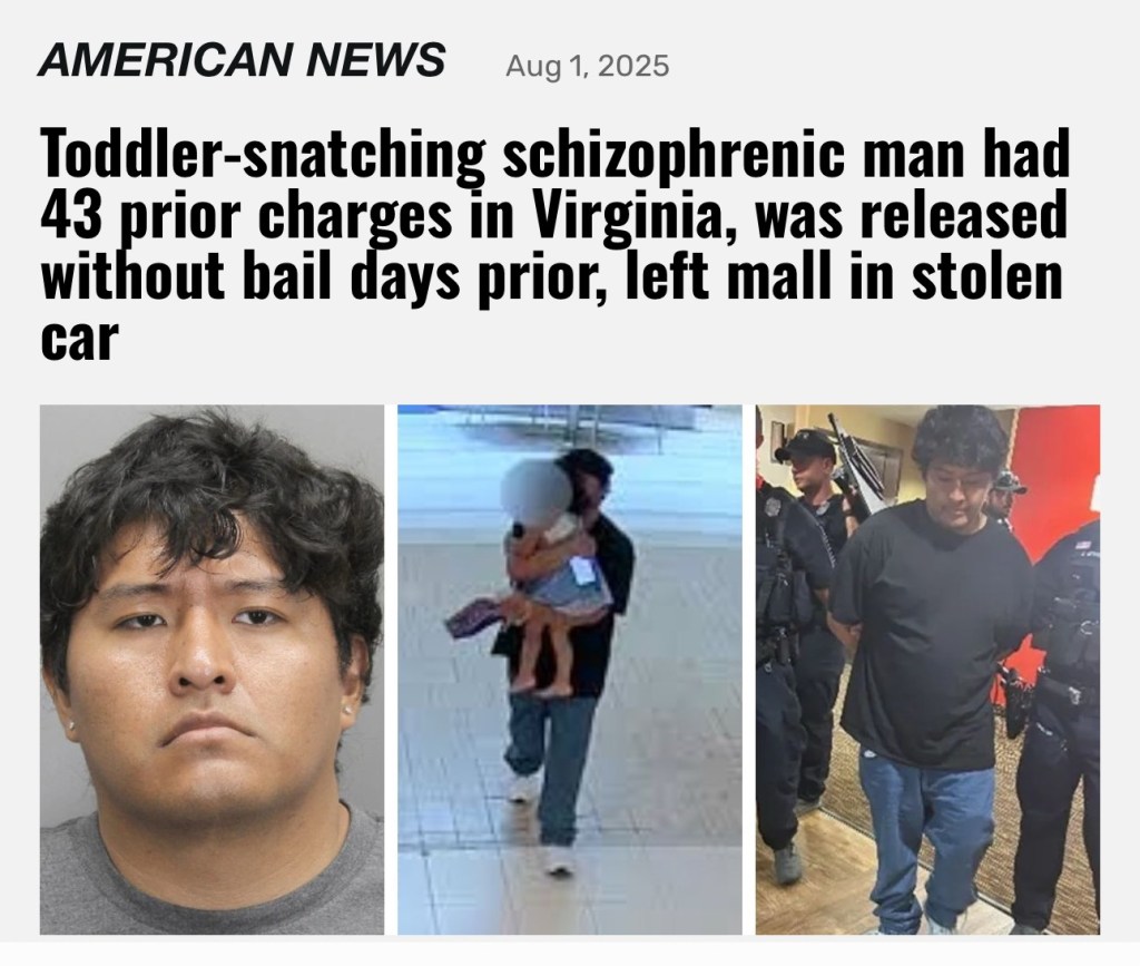 Toddler-snatching schizophrenic man had 43 prior charges in&nbsp;Virginia