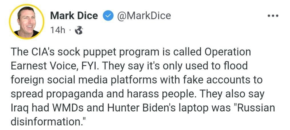 Operation Earnest Voice