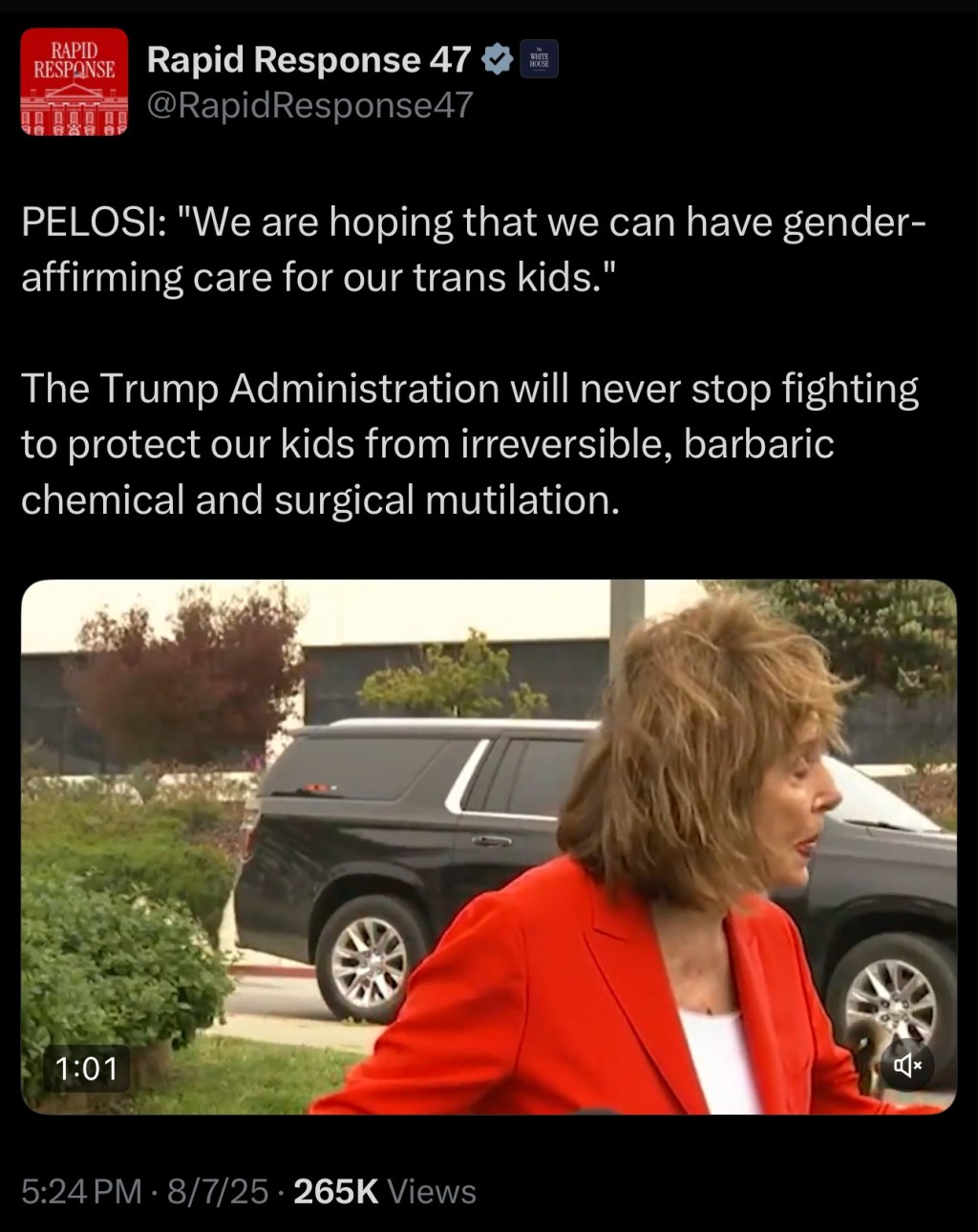 PELOSI: “We are hoping that we can have gender-affirming care for our trans&nbsp;kids.”