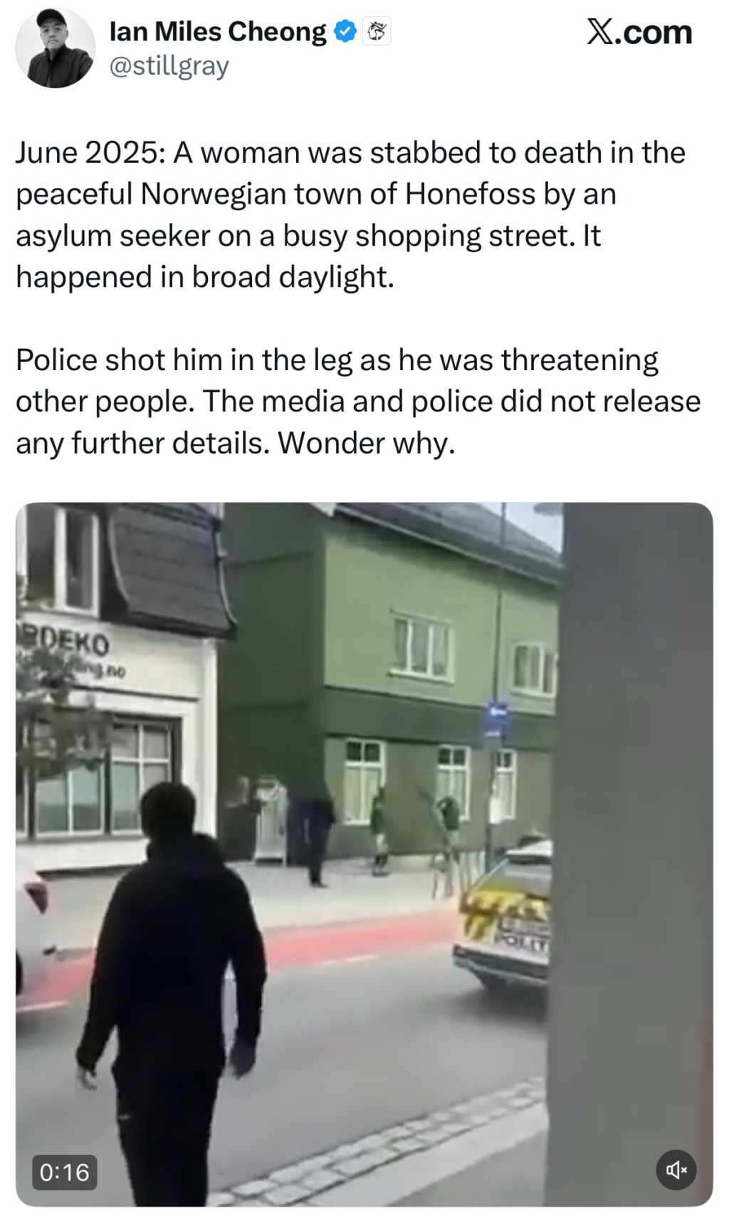 June 2025: A woman was stabbed to death in the peaceful Norwegian town of Honefoss by an asylum seeker on a busy shopping street. It happened in broad&nbsp;daylight.