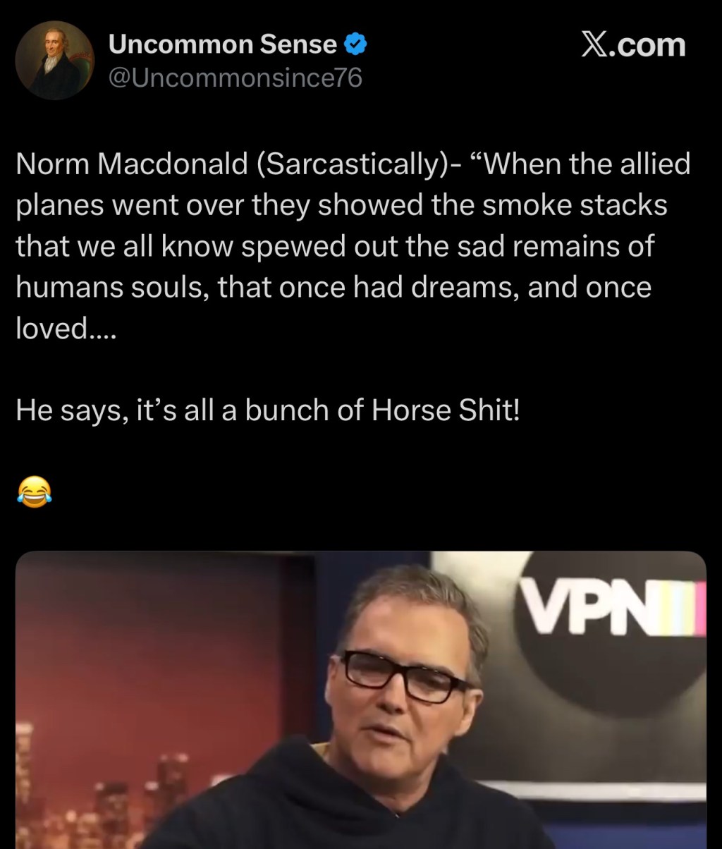 “When the allied planes went over they showed the smoke stacks that we all know spewed out the sad remains of humans souls, that once had dreams, and once&nbsp;loved….