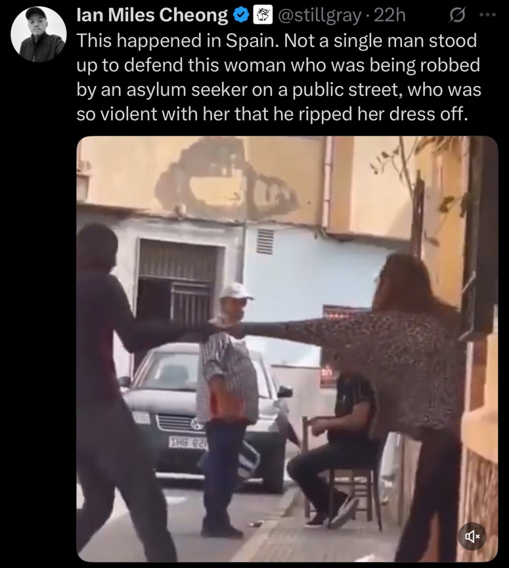 This happened in Spain. Not a single man stood up to defend this woman who was being robbed by an asylum seeker on a public street, who was so violent with her that he ripped her dress&nbsp;off.