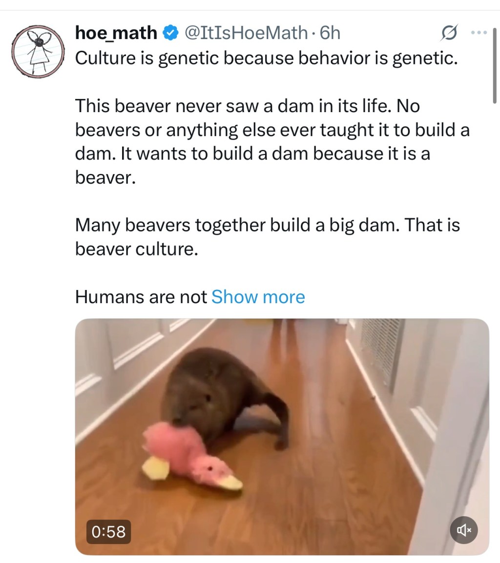 Hoe Math: Culture is Genetic&nbsp;Behavior