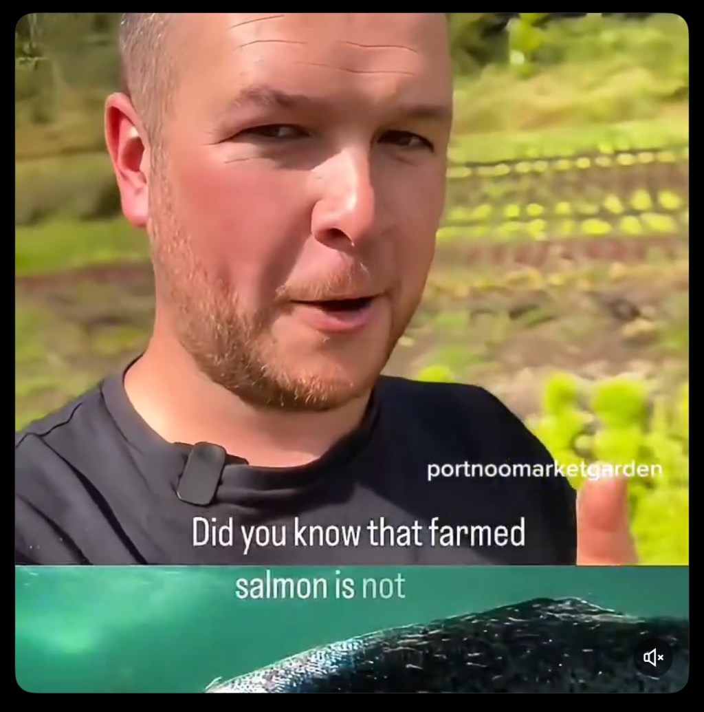 “Farmed salmon isn’t real food, it’s an industrial product, painted pink to sell the&nbsp;lie.”