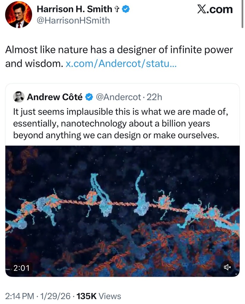 Incredible Clip of DNA Moving Up&nbsp;Close