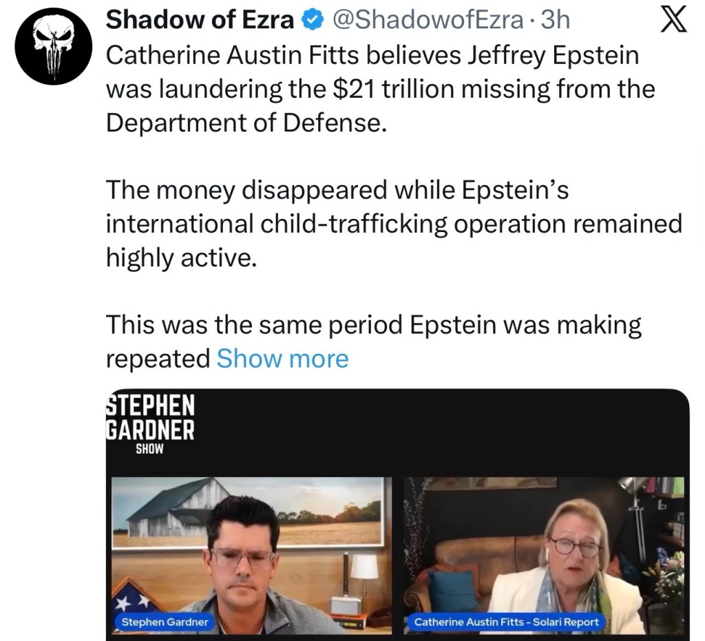Catherine Austin Fitts believes Jeffrey Epstein was laundering the $21 trillion missing from the Department of&nbsp;Defense