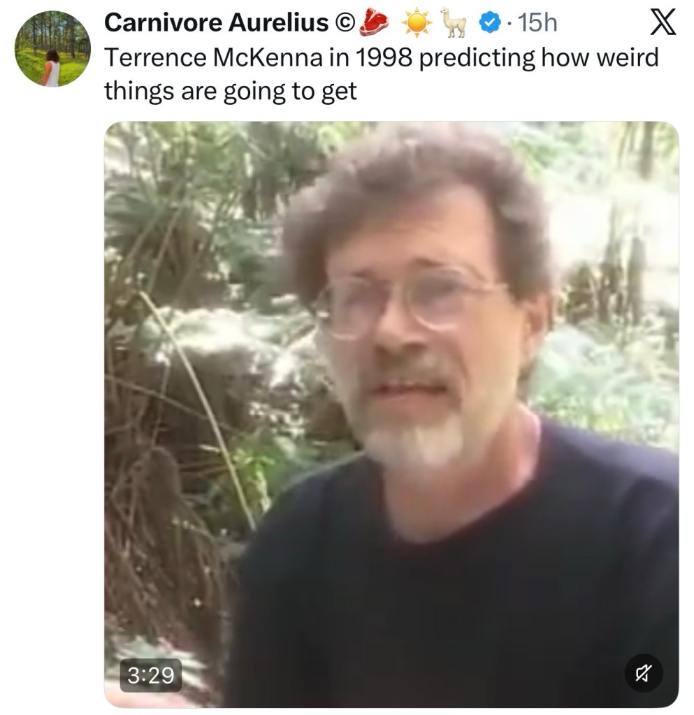 Terrence McKenna in 1998 predicting how weird things are going to&nbsp;get
