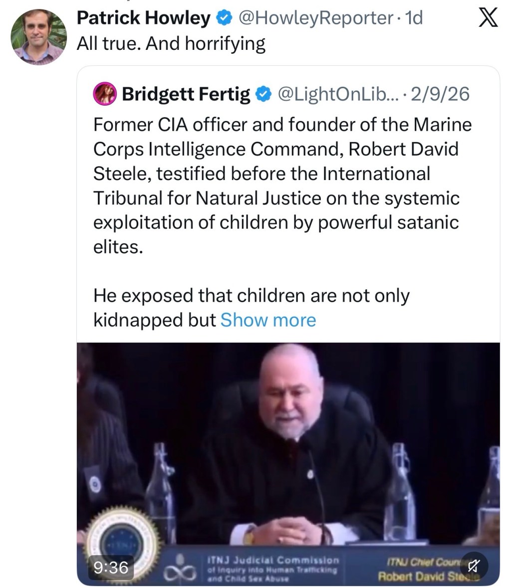 Former CIA officer and founder of the Marine Corps Intelligence Command, Robert David Steele, testified before the International Tribunal for Natural Justice on the systemic exploitation of children by powerful satanic&nbsp;elites.