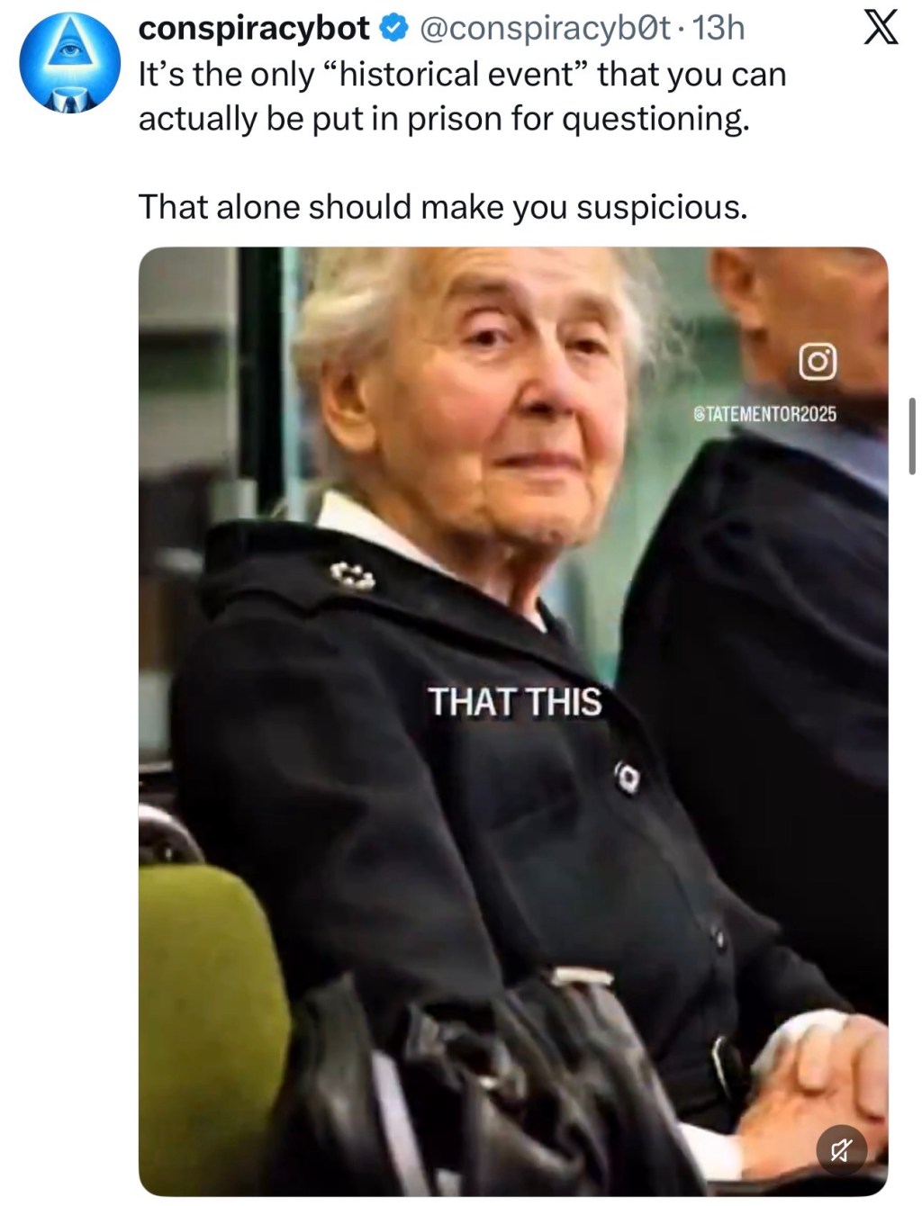 It’s the only “historical event” that you can actually be put in prison for&nbsp;questioning.