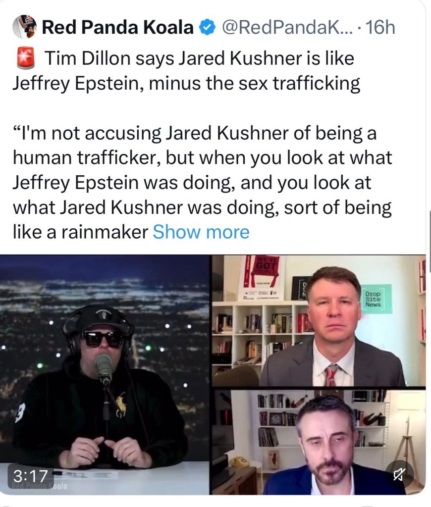 Tim Dillon says Jared Kushner is like Jeffrey Epstein, minus the sex&nbsp;trafficking