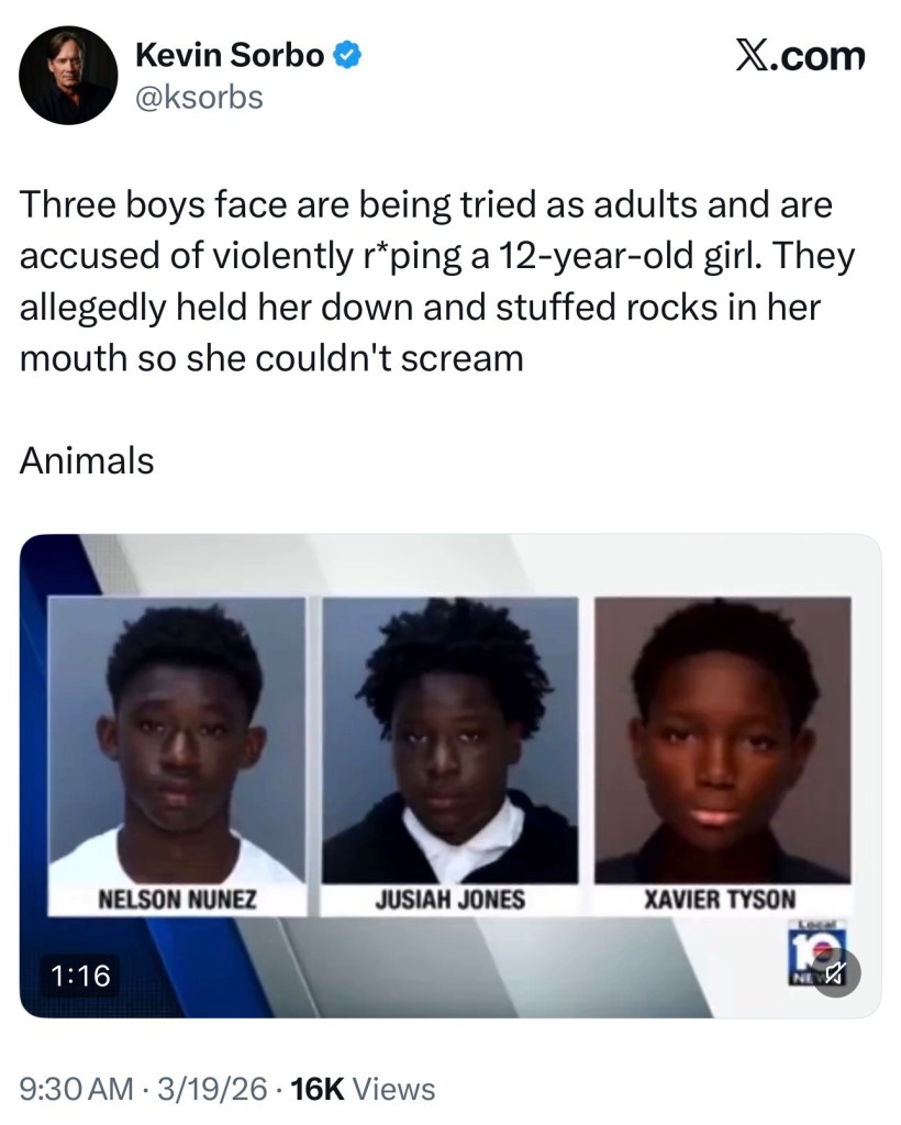 Three boys face are being tried as adults and are accused of vioIently r*ping a 12-year-old girl. They allegedly held her down and stuffed rocks in her mouth so she couldn’t&nbsp;scream